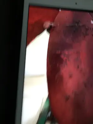 Wim Cerneus - Koopje : Prachtig beeld van een vogel , beschilderd door Herman Brood kopen? Bied vanaf 750!