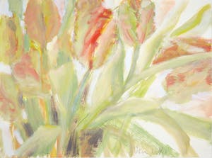 Pieter Schotman - Gouache, Z.T. (tulpen) kopen? Bied vanaf 1!