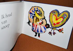 Jan te Wierik - Enorm hardcover boek met 13 grote afbeeldingen kopen? Bied vanaf 75!