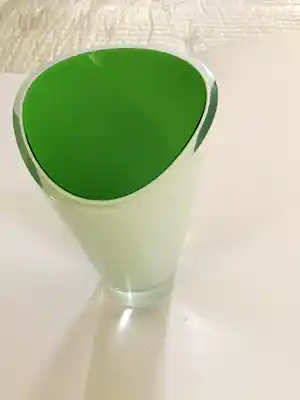 Carina Riezebos - Royal Leerdam, Campina vaas verkocht voor € 60!