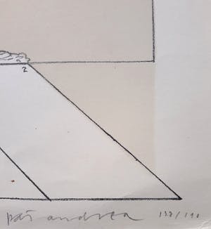 Pat Andrea - Zomeravondtraining, litho kopen? Bied vanaf 30!