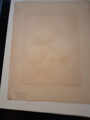 Jan Deodatus - Kastanjes kopen? Bied vanaf 30!