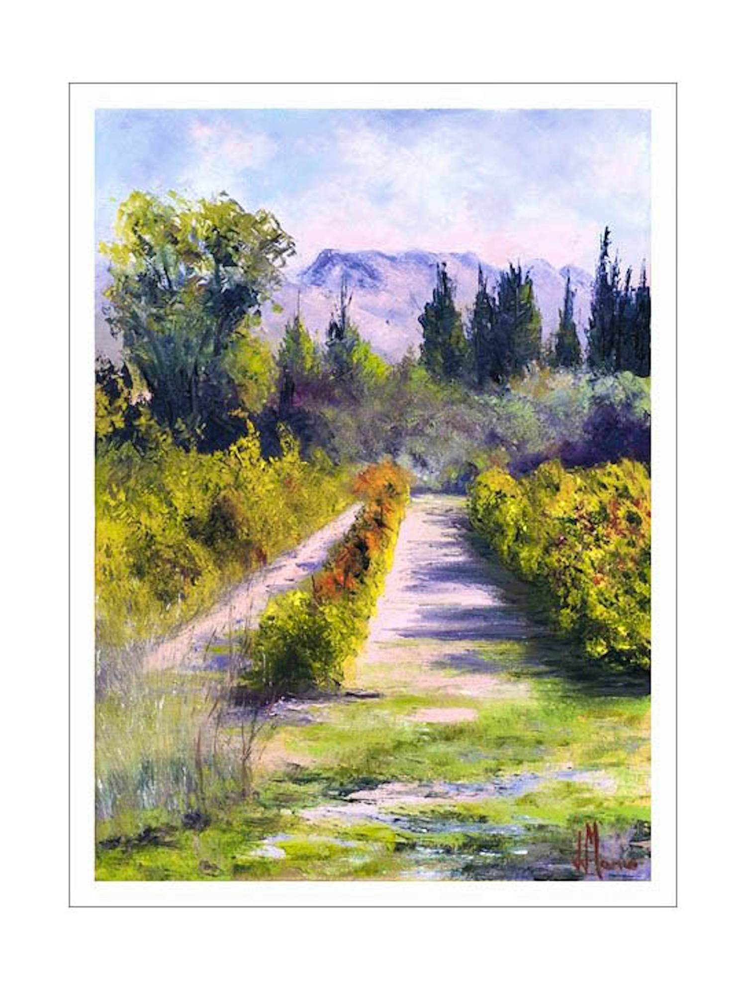 Jean-Jacques Marie - Paysage de vignes dans les Alpilles en Provence. Numérotée 35/85 et signée kopen? Bied vanaf 50!