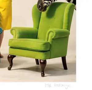 Mr Strange - Kleurrijk leven (III) kopen? Bied vanaf 80!