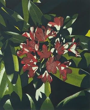 Hans van Liempt - Ets en aquatint, Zonder titel - Ingelijst kopen? Bied vanaf 35!
