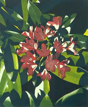 Hans van Liempt - Ets en aquatint, Zonder titel - Ingelijst verkocht voor € 35!