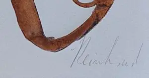 Reinhoud D'Haese - ets + map, CoBrA , gesigneerd door kunstenaar en Hugo Claus kopen? Bied vanaf 140!