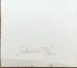 Ger Dekkers - Plastic, foto offset litho kopen? Bied vanaf 75!