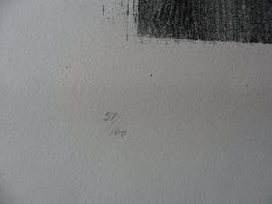 Piet Klaasse - Litho: " Rogier in Kraakpand" - 1972 kopen? Bied vanaf 45!