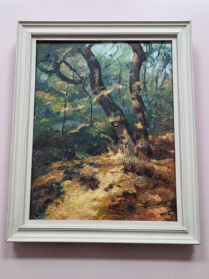 Maarten van der Meer - bomen kopen? Bied vanaf 100!