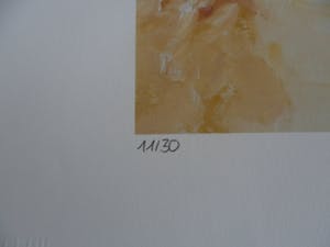 Armando - Kleuren Giclee. Titel, "Weisse Gestaltung". Hand gesigneerd SLECHTS 30 EX!!! kopen? Bied vanaf 70!