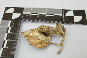 1228- Chique 1e geh. zilver en vergulde Broche/Speld "Herfstblad" gekeurd kopen? Bied vanaf 32!
