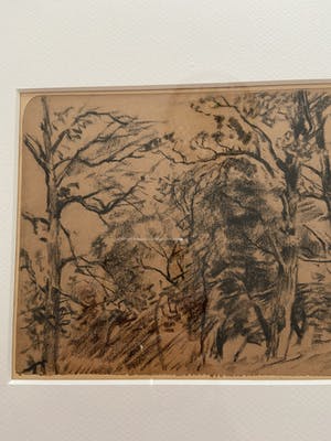 Erasmus Herman van Dulmen Krumpelman - Boomengroep te Zeegse kopen? Bied vanaf 25!