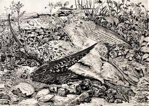 Simon Koene - Wulp (naar een ontwerp van Dirk van Gelder) verkocht voor € 75!