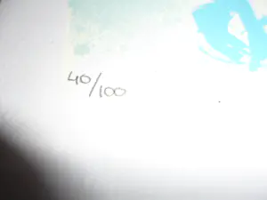 Peter Klashorst - Zeefdruk, Titel, Nema kopen? Bied vanaf 50!