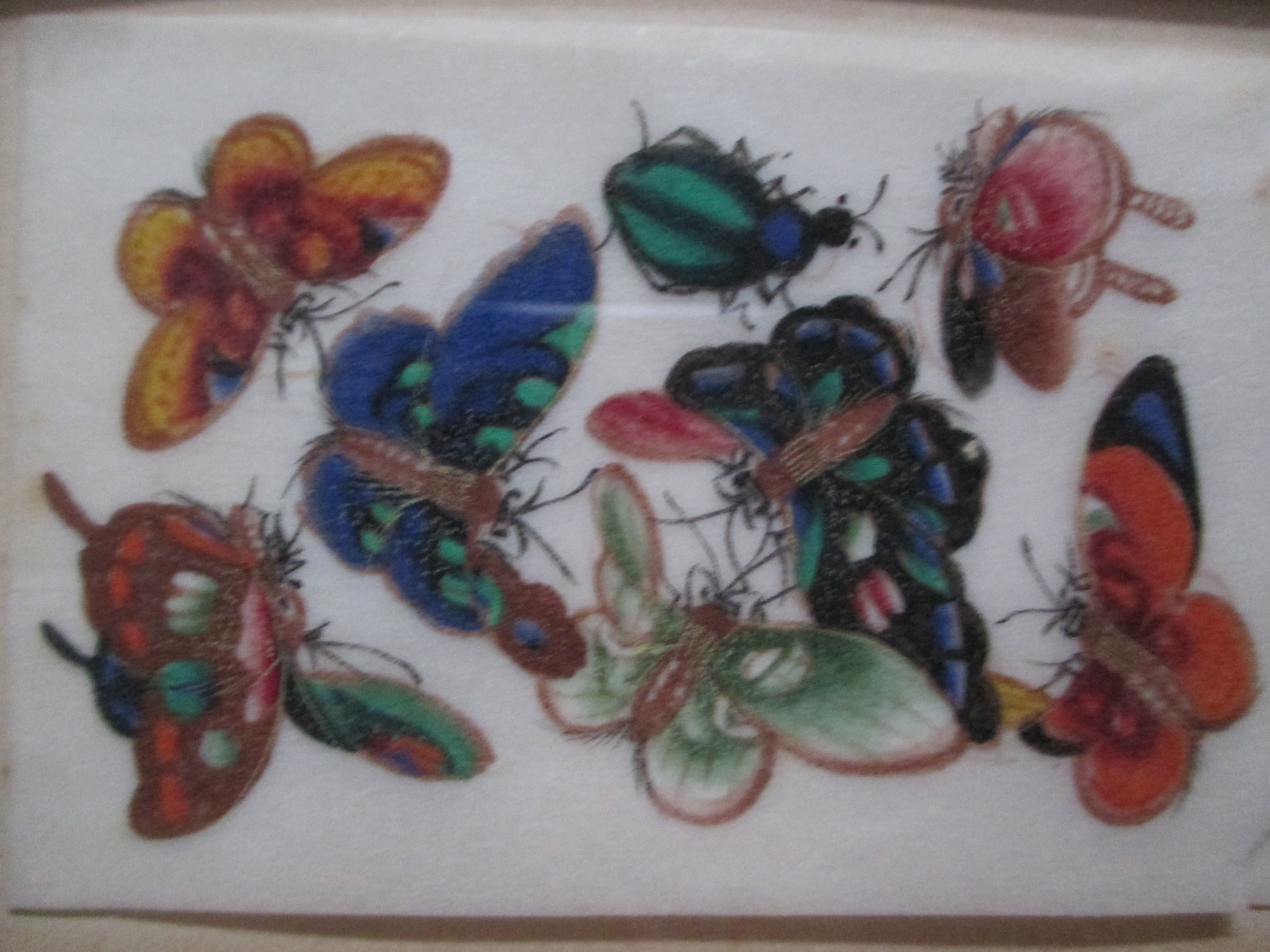 Niet of onleesbaar gesigneerd - Pastel/aquarel vlinders kopen? Bied vanaf 1!