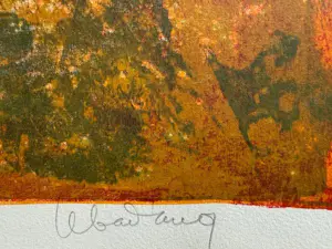 Dang Lebadang - Lithographie "Vision Stellaire" kopen? Bied vanaf 230!