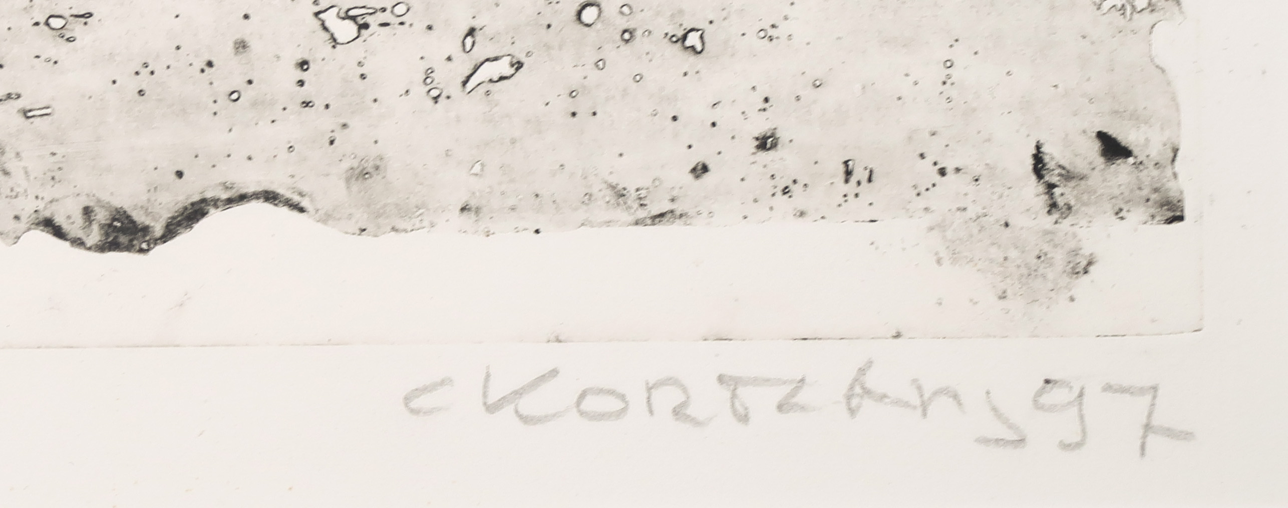 Cees Kortlang - Kleurenets, Voorjaar kopen? Bied vanaf 35!