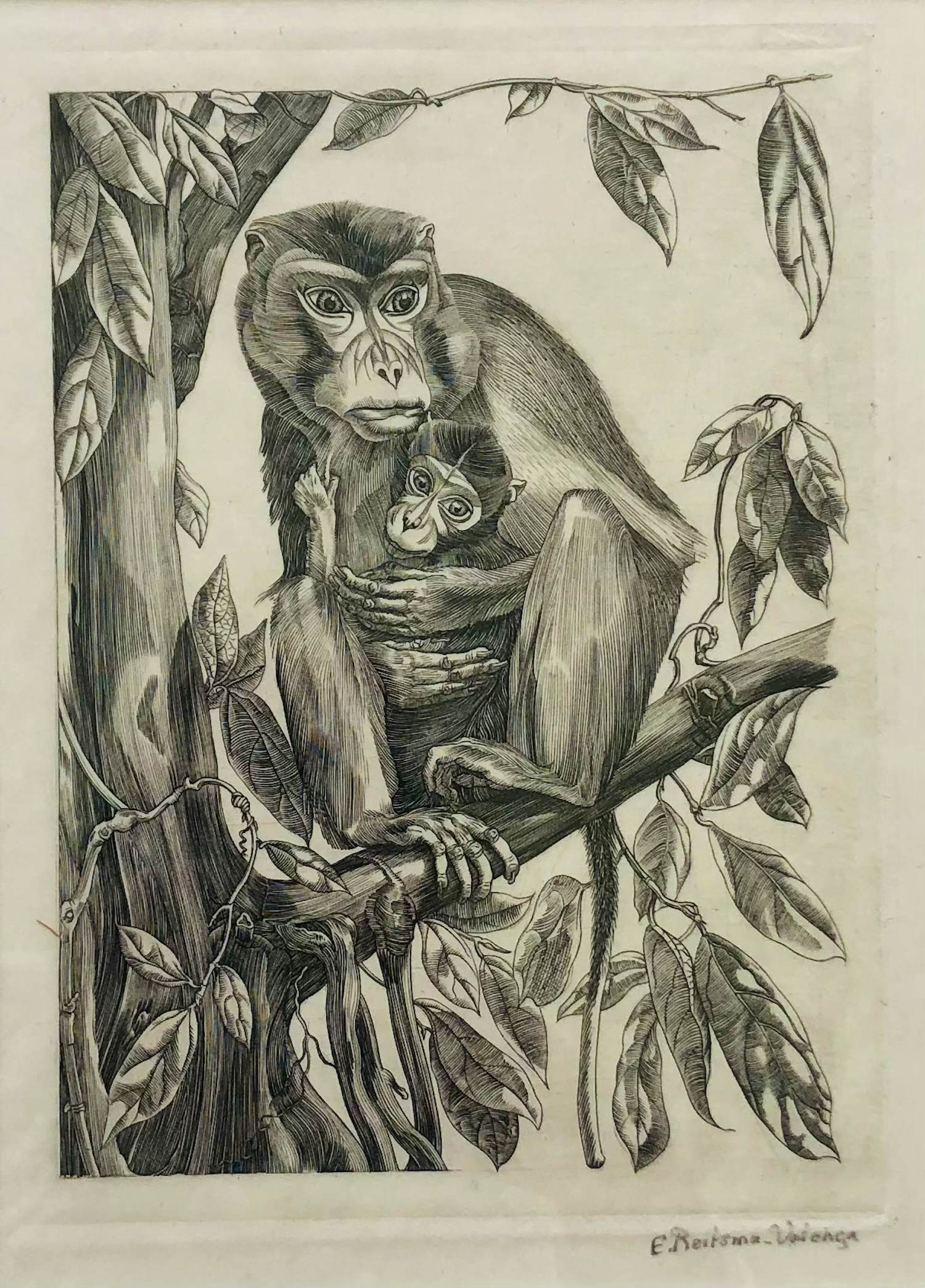 Buy Engelien Reitsma-Valenca - "Java monkey with cub" (1939).? Bid from 65!