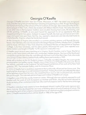 Georgia O’Keeffe - Set van drie prints,Klaproos,Trompetbloem en Bladeren Patroon kopen? Bied vanaf 30!