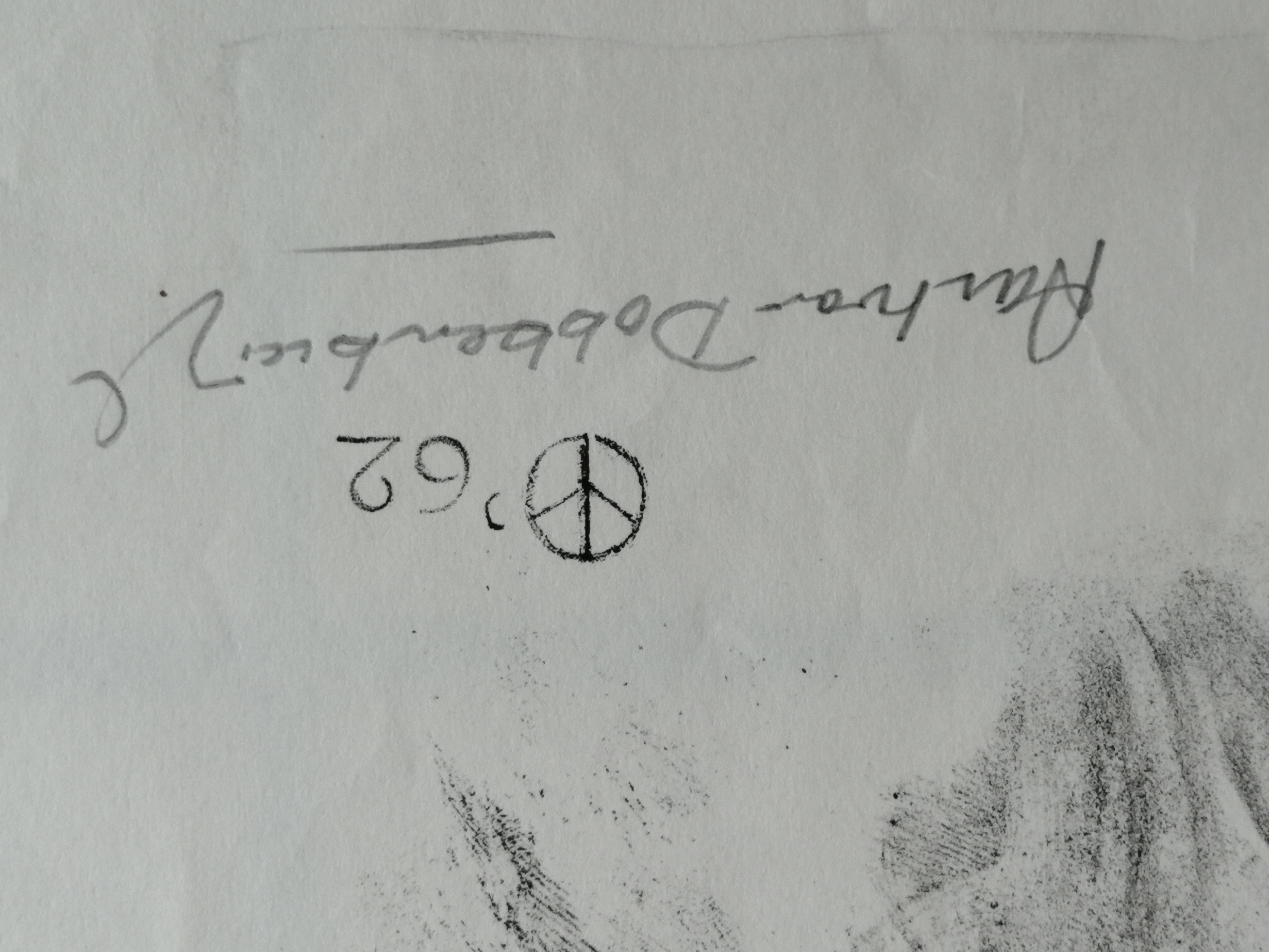 Aart van Dobbenburgh - Eekhoorn kopen? Bied vanaf 25!