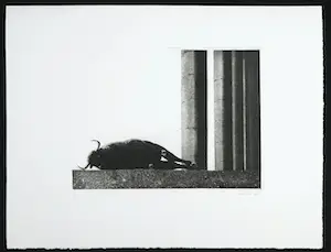 Rene Polak - Ets en aquatint, Zonder titel kopen? Bied vanaf 1!