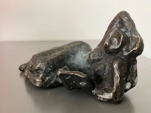 Jose van Gool - Lezende vrouw kopen? Bied vanaf 89!