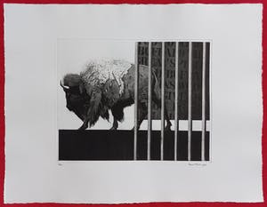 Rene Polak - Great Buffalo, aquatint ets (zeer kleine oplage) kopen? Bied vanaf 50!