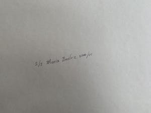 Maria Beatriz - kleurenfoto - 'Vita Brevis' - 2000 kopen? Bied vanaf 1!