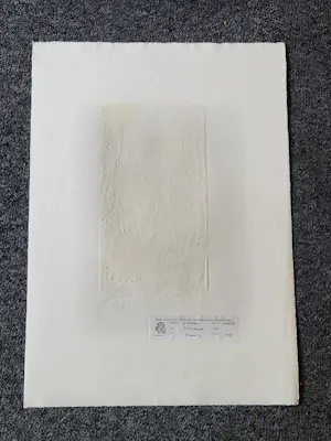 Gertie Mesker - 1971 handgekleurde reliëfdruk "terre Chaude" potloodgesigneerd bep. oplage (50) kaufen? Bieten Sie von 38!