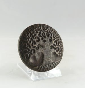 Christina Nijland - Bronzen penning, Linnaeus kopen? Bied vanaf 35!