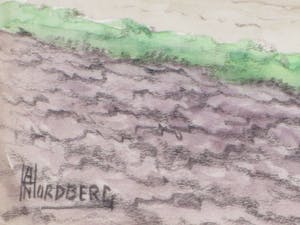 Antonius Hubertus Nordberg - Boerenerf met kippen en hooiberg - Aquarel kopen? Bied vanaf 30!