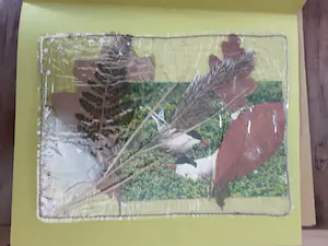 Daan van Golden - Ameland Rapport kopen? Bied vanaf 1!