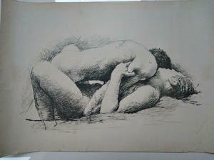 Aat Veldhoen - erotische grafiek kopen? Bied vanaf 50!