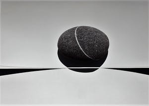 Peter Ruting - The Divided Landscape kopen? Bied vanaf 50!