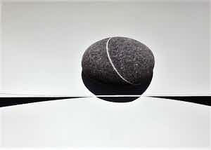 Peter Ruting - The Divided Landscape verkocht voor € 50!