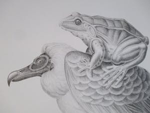 Armando Cairo - Litho "Gier met pad" kopen? Bied vanaf 40!