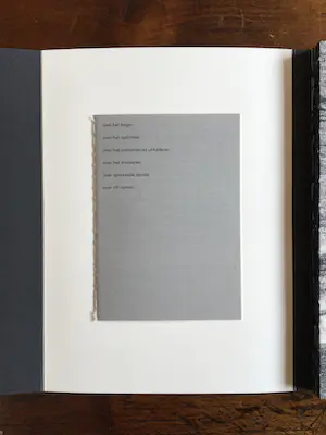 Pieter Bijwaard - Doorlopend, kunstenaarsboek met gedichten door K. Michel kopen? Bied vanaf 50!