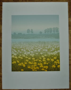 Elmar Gille - 'Hollands rivierlandschap' kopen? Bied vanaf 65!