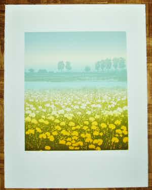 Elmar Gille - 'Hollands rivierlandschap' verkocht voor € 65!