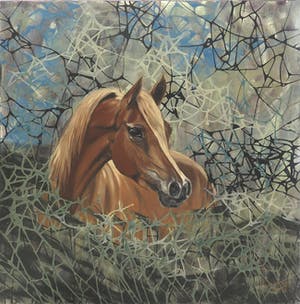 Valentin Bakardjiev - Horse - In onnavolgbare fluweelzachte kleurstelling - Nieuwwaarde €4.500,- kopen? Bied vanaf 1!