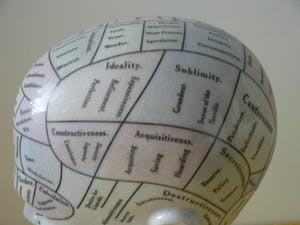 Curiosa - Phrenology head by L.N.Fowler - Met Kleur kopen? Bied vanaf 60!