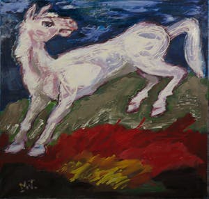 Martin van Wordragen - Olieverf op doek, Dartel veulen - Ingelijst (Groot) kopen? Bied vanaf 250!