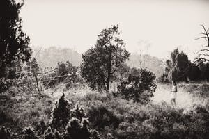 Erik Gigengack - "Buurse 2014", gesigneerde nummer 1 van beperkte oplage. kopen? Bied vanaf 35!