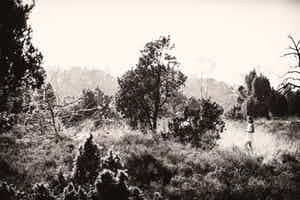 Erik Gigengack - "Buurse 2014", gesigneerde nummer 1 van beperkte oplage. verkocht voor € 35!