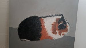 Niet of onleesbaar gesigneerd - Cavia Nicky kopen? Bied vanaf 1!