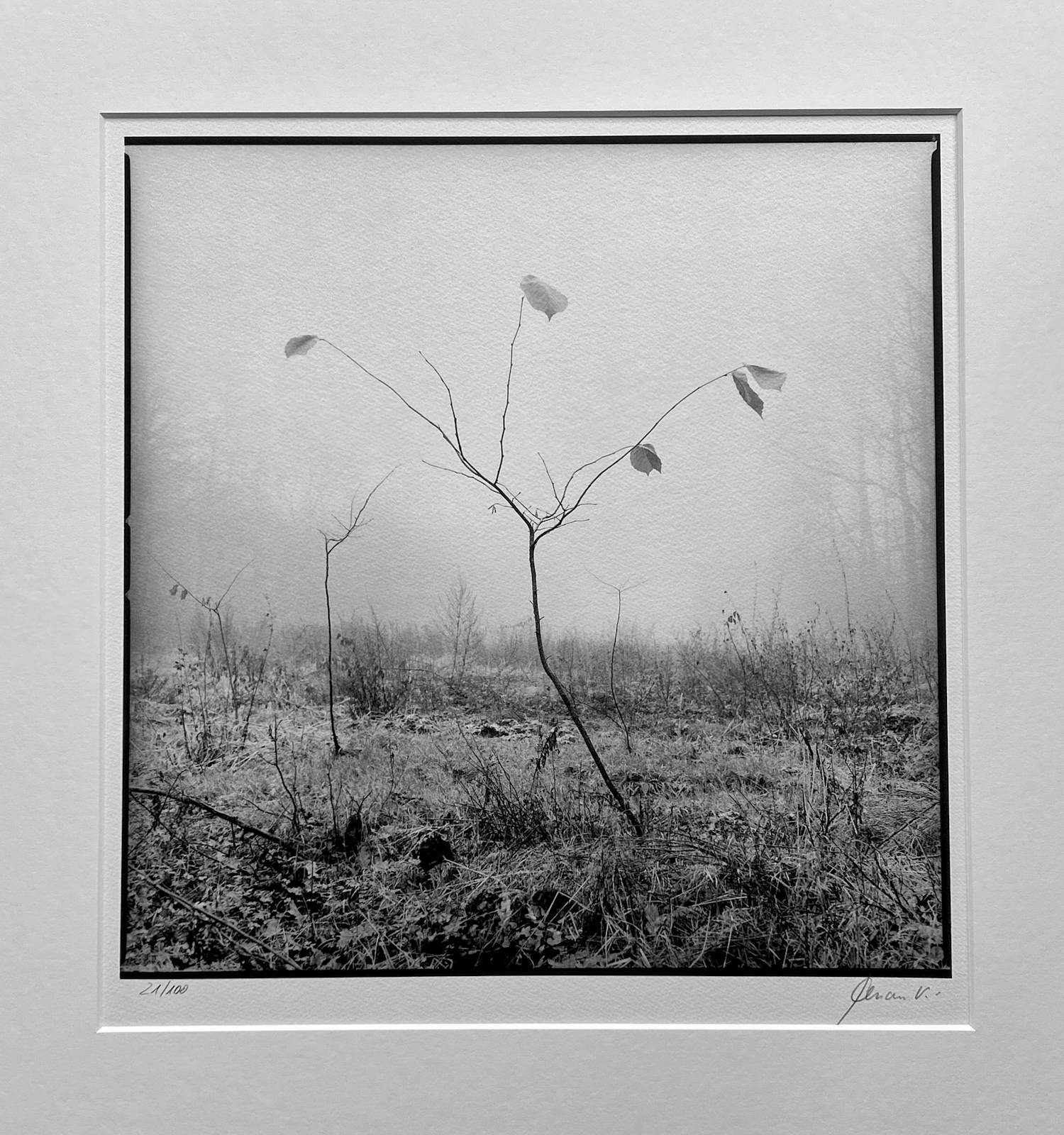 Ralph Janowski - Zonder titel kopen? Bied vanaf 30!