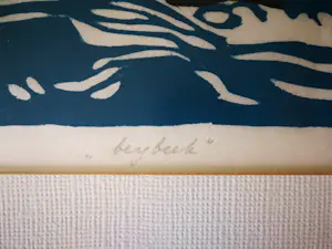 Maaike Braat - Bergbeek. kopen? Bied vanaf 89!