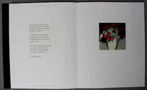 Fon Klement - en Marion Bloem - Boek met 8 werken - 1992 kopen? Bied vanaf 199!