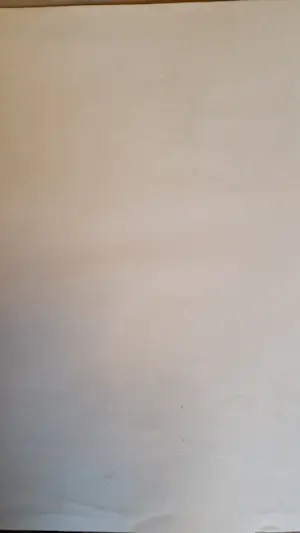 Louis van der Beesen - Vrouw kopen? Bied vanaf 40!